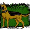 Talos - German Shepherd