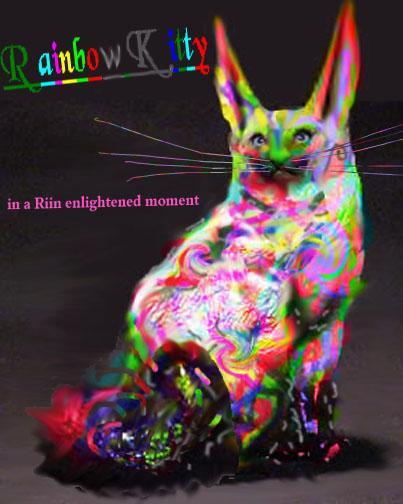 Rainbow Kitty