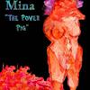 Mina The Power Pig