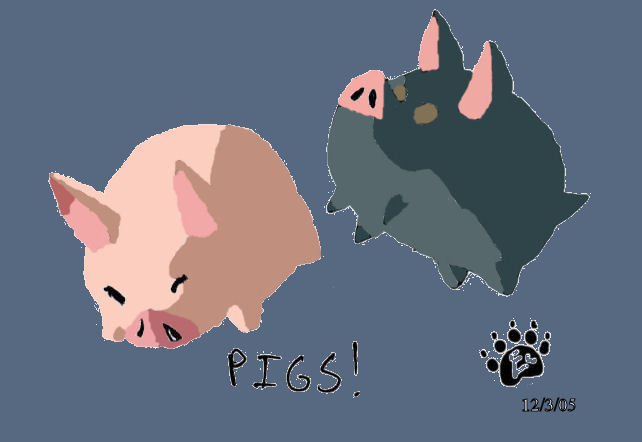 The Outset island Piggies