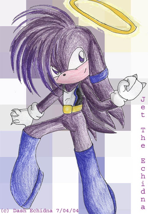 Jet the Echidna