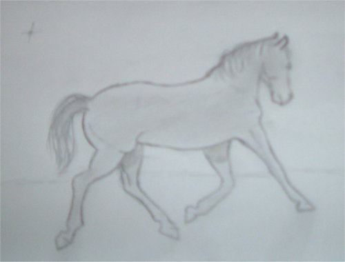 Trotting Horse