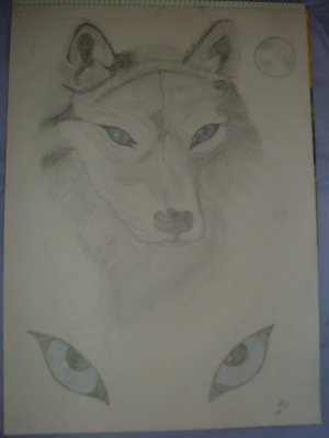 -Wolf-