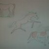 Random Horses