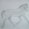 Trotting Horse