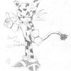 Swift The Cheetah