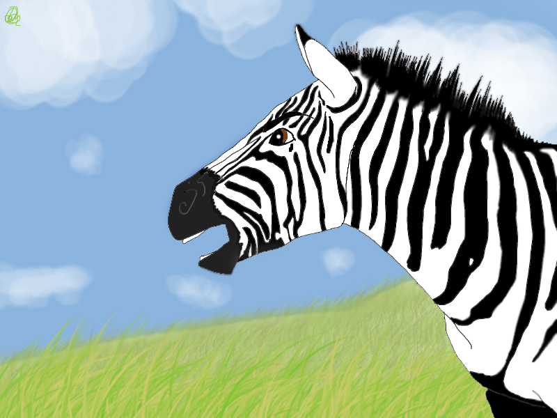 Zebra