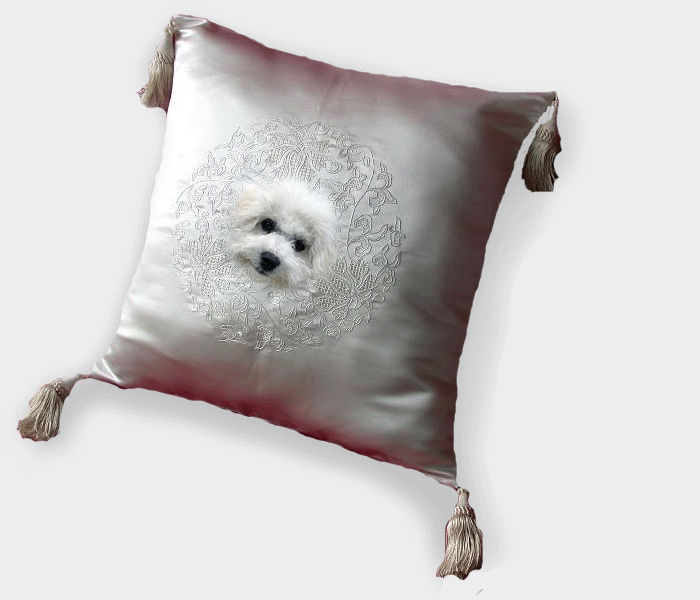 Bichon Pillow