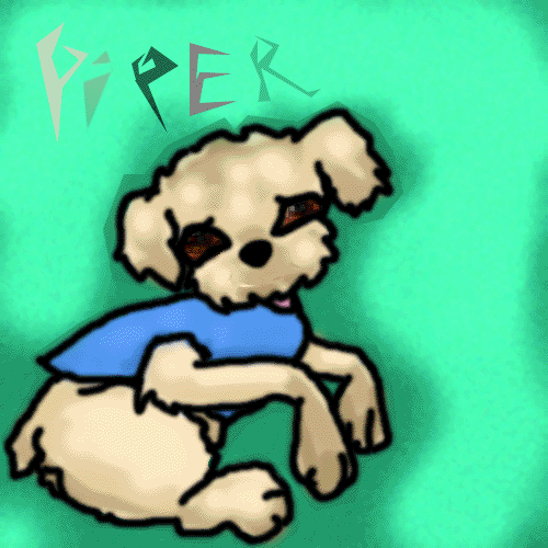 Piper