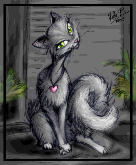 Grey Cat