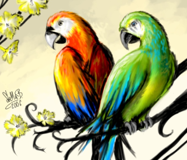 Parrots