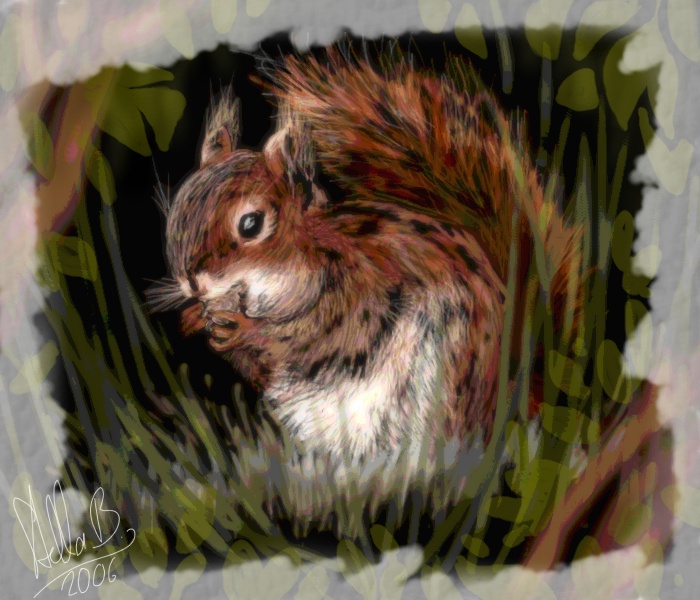 Squirrel