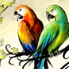 Parrots