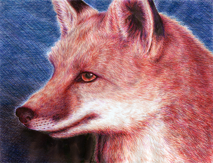 Ballpoint - Fox