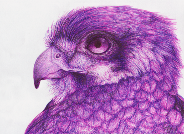 Ballpoint - Falcon