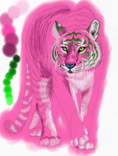 Tiger