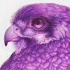 Ballpoint - Falcon