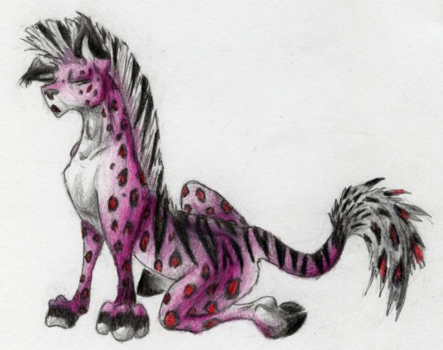 Pink Leopard-Zebra Hybrid