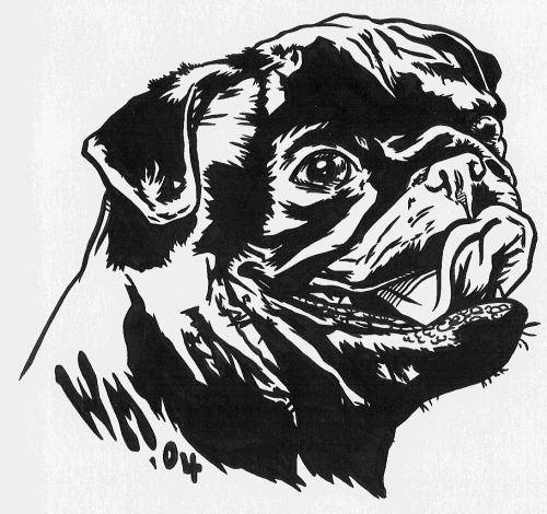 Inked Pug