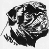 Inked Pug