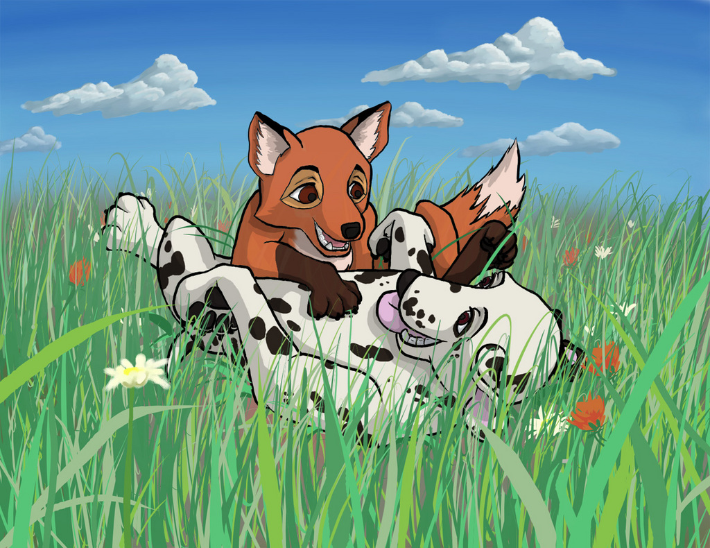 Fox and Dalmation