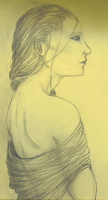 Woman's Profile 2...