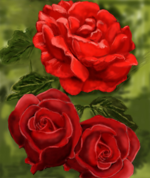 Roses