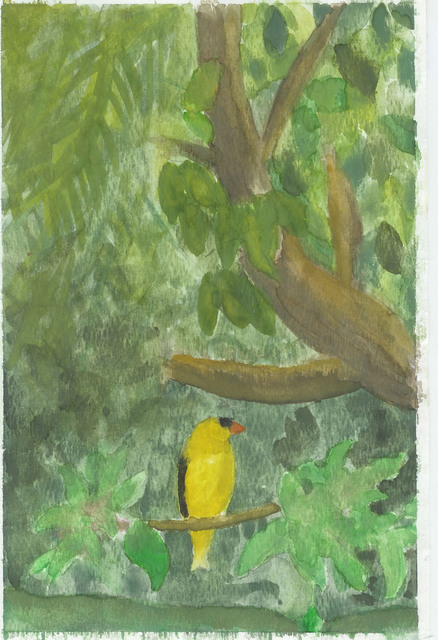 Yellow Bird