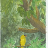 Yellow Bird