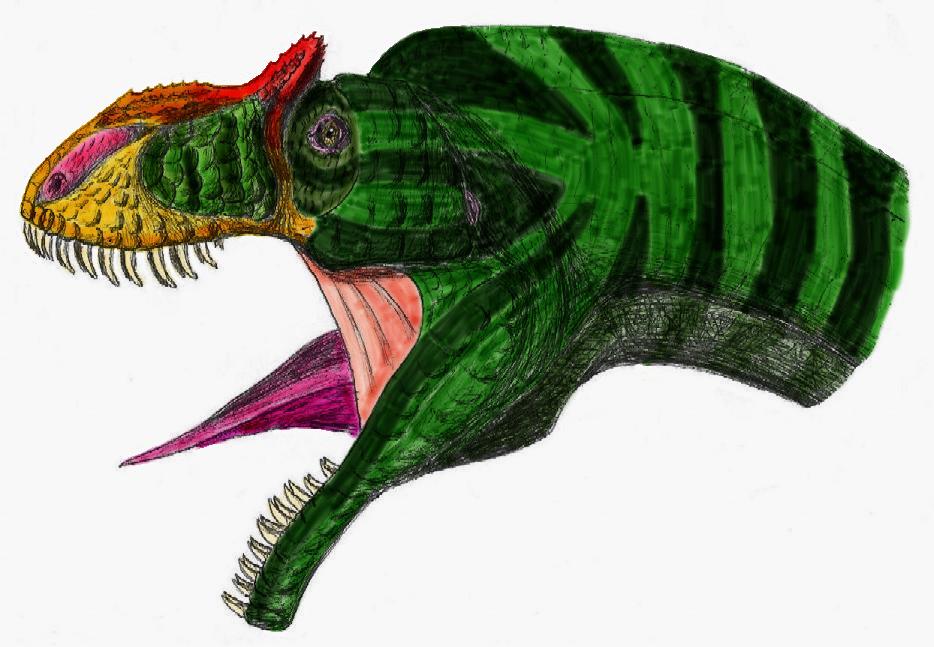 Allosaurus fragilis