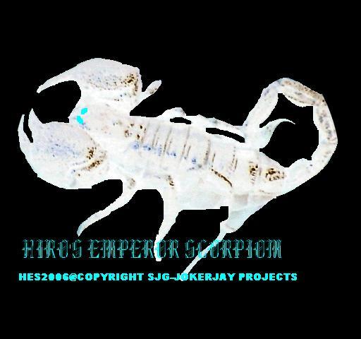 Hiro Hasenu's Enternal Specie