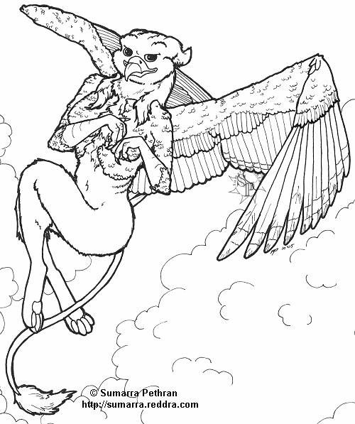 Lady Gryphon