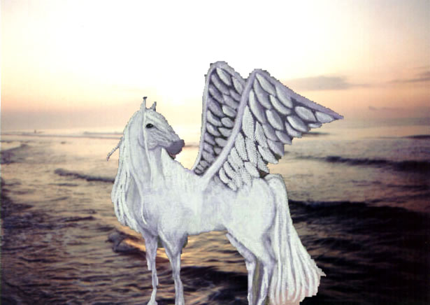 Pegasus on the beach