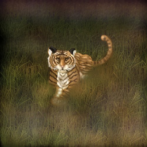 Tiger in the Grass