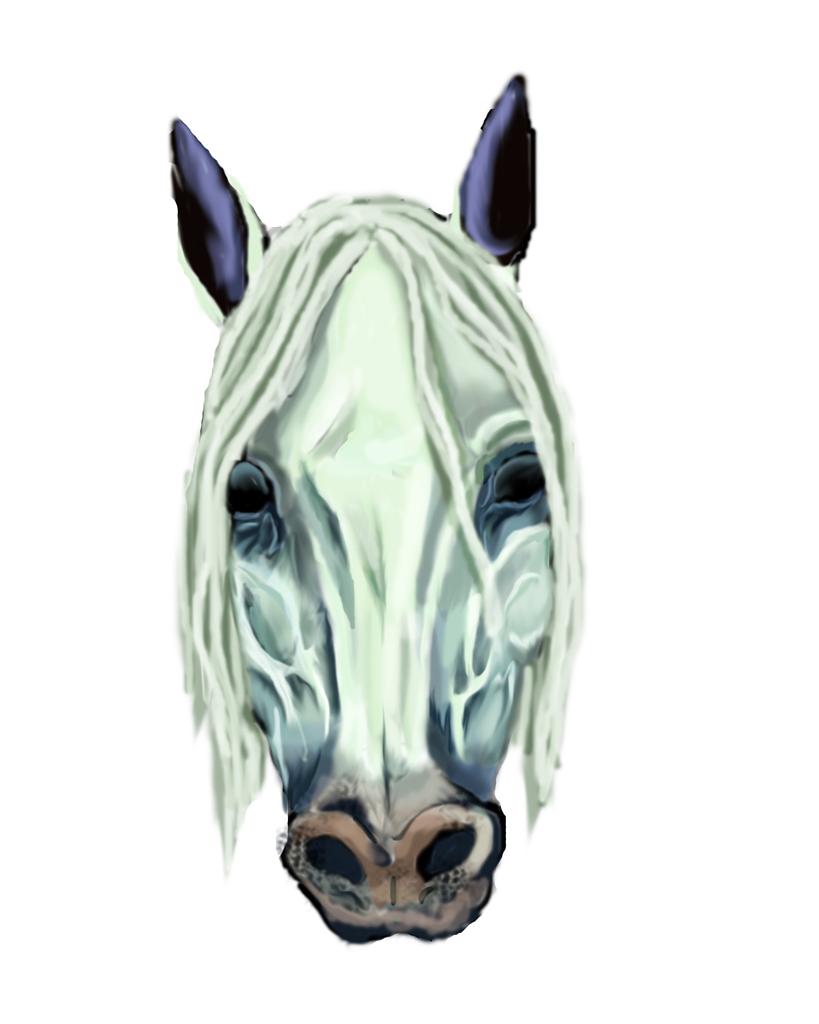 Horse Head