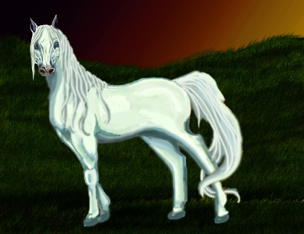 White horse