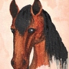 Brown horse