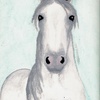 White horse