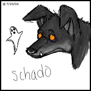 Schado