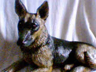 Ceramic German Shepherd Repaint