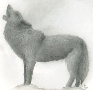 Howling Wolf