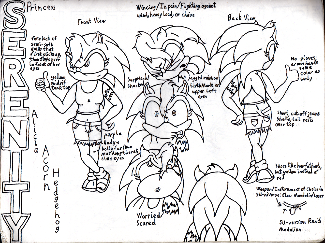 Serenity Hedgehog Character Profile