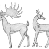 Critters 7: Giant Deer and unnamed