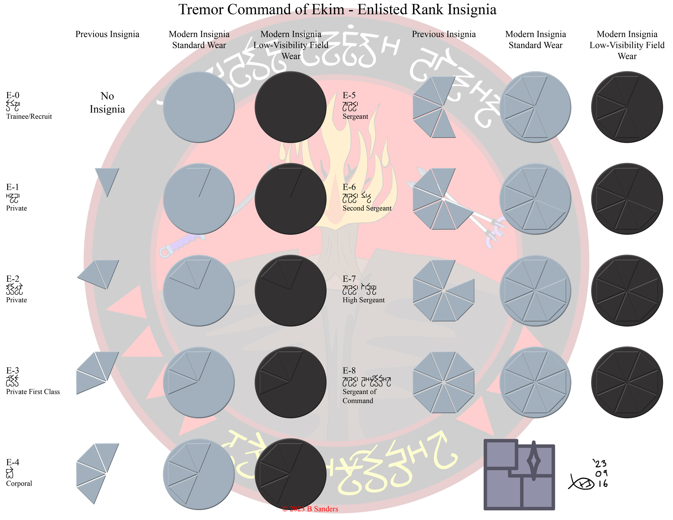 TCE Enlisted Rank Insignia