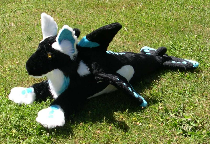 Orca Hybrid plush