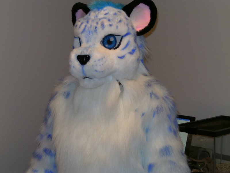 Blue snow leopard