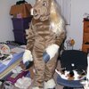 Pony costume