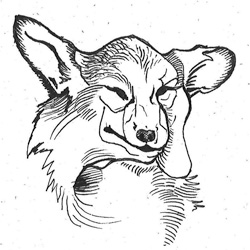 Corgi Ink Sketch 9