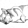 Corgi Ink Sketch 8