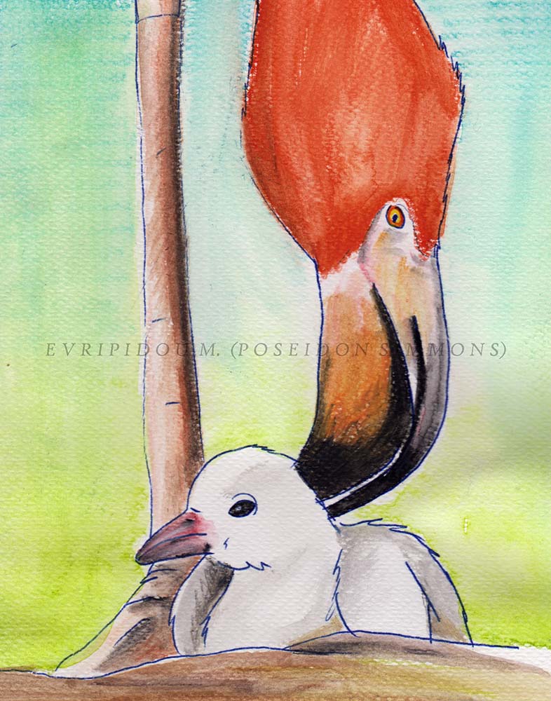 flamingo parent and chick